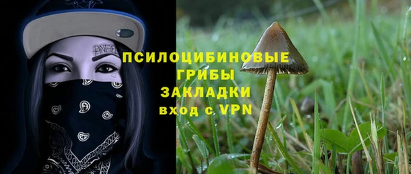 дживик Алексин