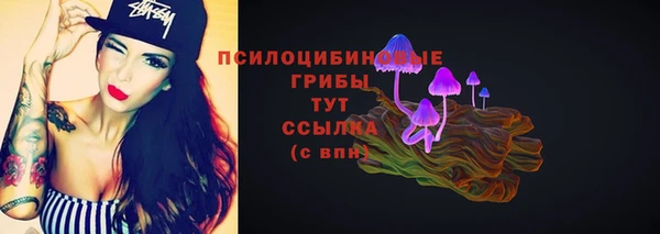 дживик Алексин